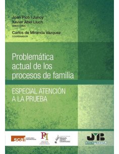 Problemática actual de los procesos de familia.:Especial atención a la prueba.