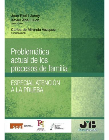 Problemática actual de los procesos de familia.:Especial atención a la prueba.
