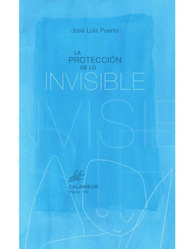 La protección de lo invisible
