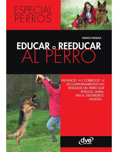 Educar o reeducar al perro