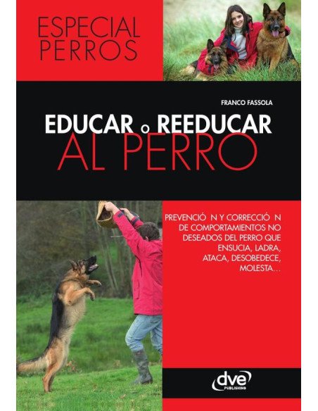 Educar o reeducar al perro