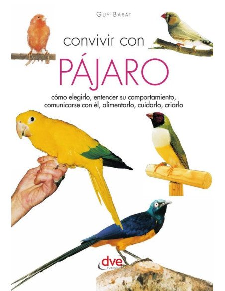 Convivir con su pájaro