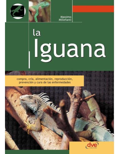 La iguana