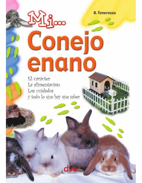Mi... conejo enano