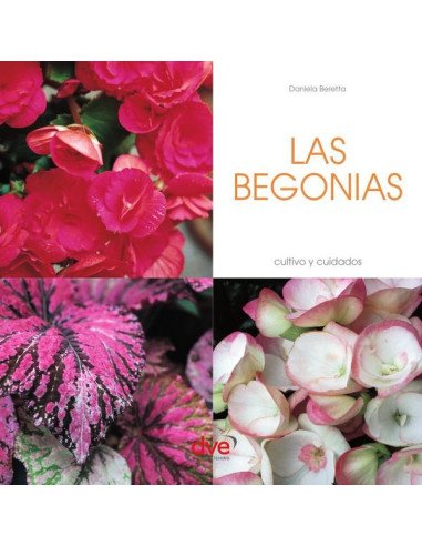 Las Begonias