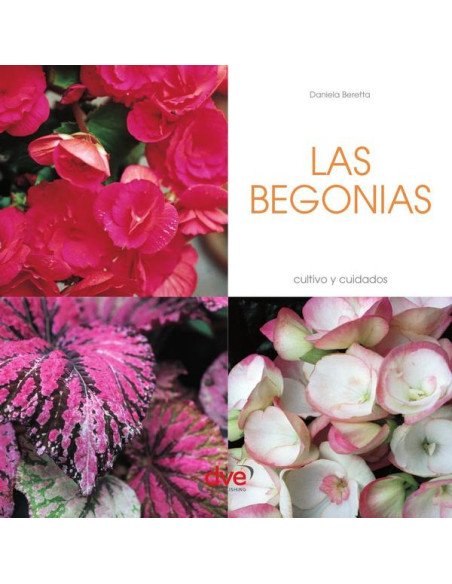 Las Begonias