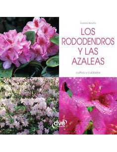 Los rododendros y las Azaleas