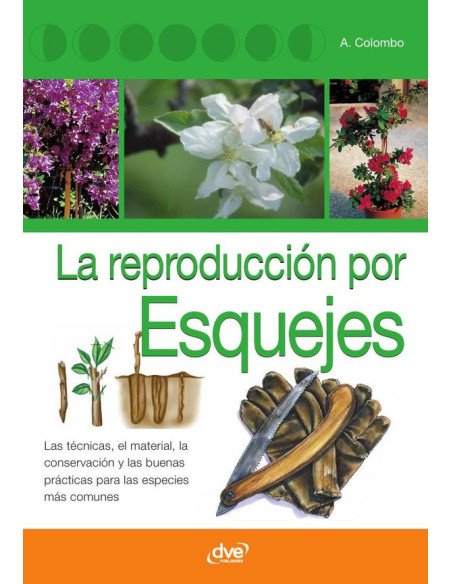 La reproducción por esquejes