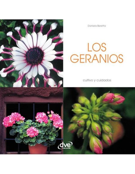Los geranios