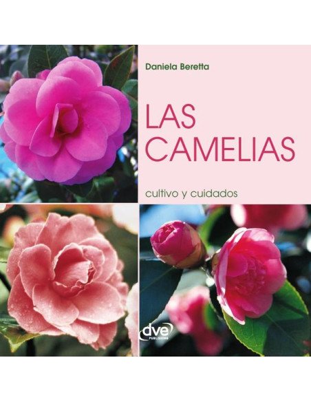 Las camelias