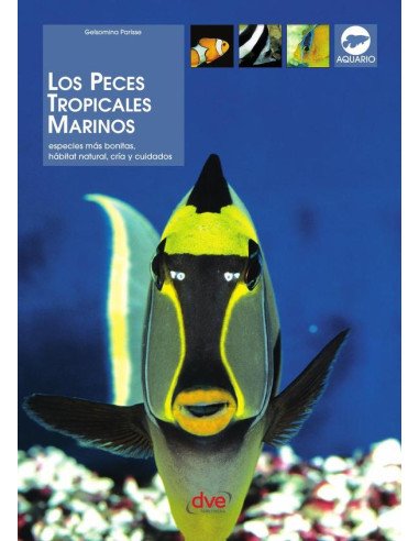 Los peces tropicales marinos