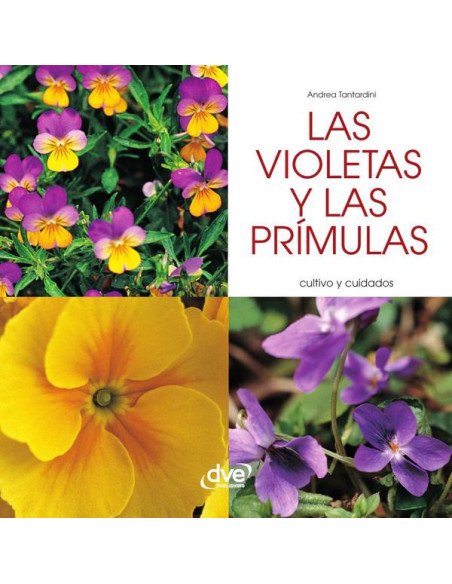 Las violetas y las prímulas