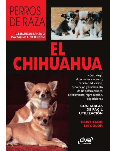 El Chihuahua
