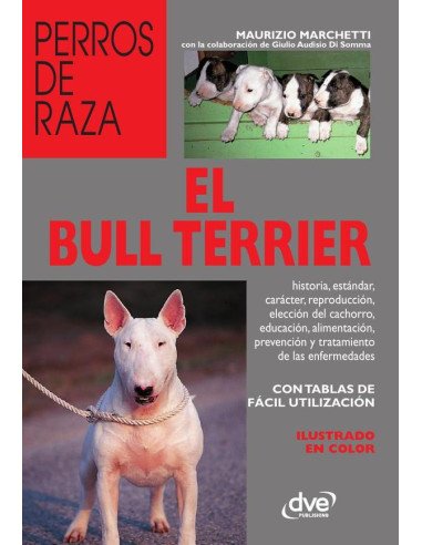El bull terrier