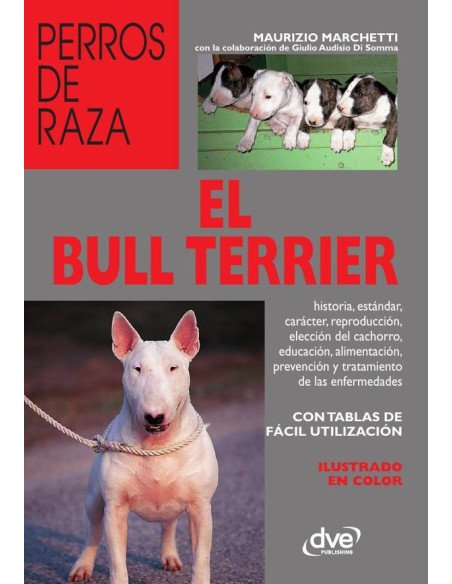 El bull terrier