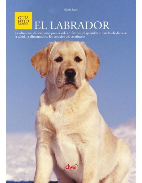 El Labrador