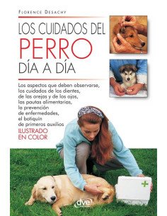 Los cuidados del perro día a día