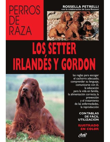 Los setter irlandés y gordon