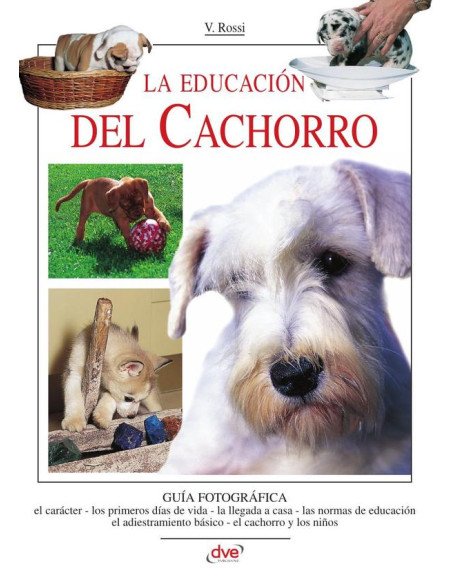 La educación del cachorro