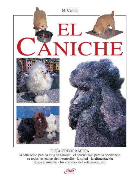 El caniche