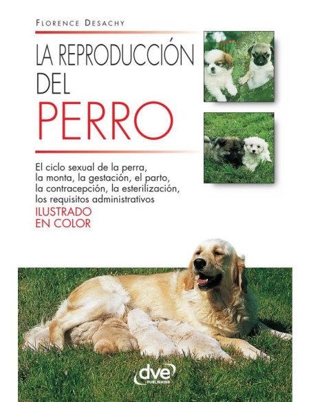 La reproducción del perro