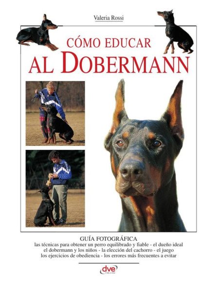 Cómo educar al dobermann