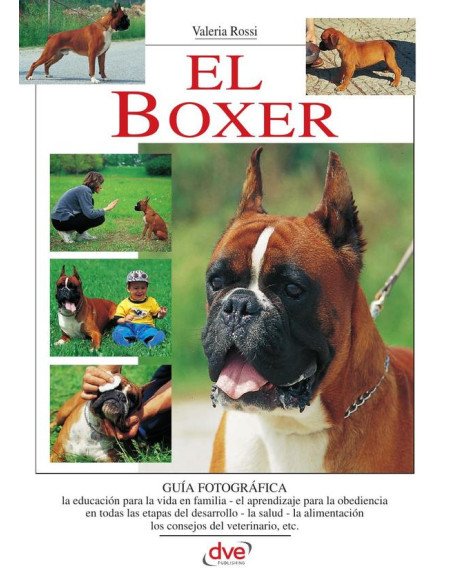 El Boxer