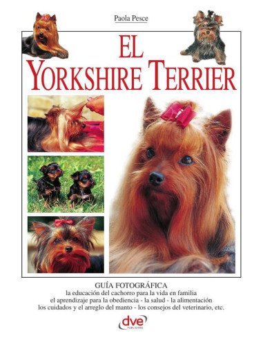 El yorkshire terrier
