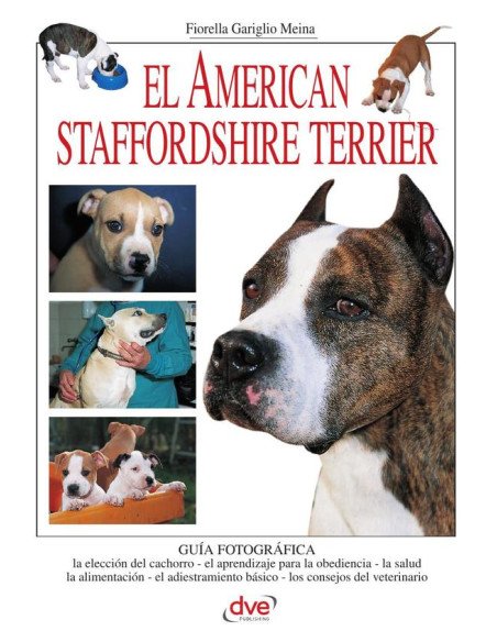 El american staffordshire terrier