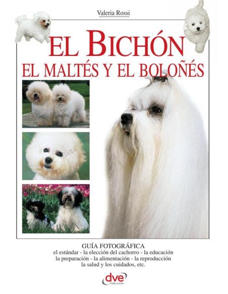 El bichón