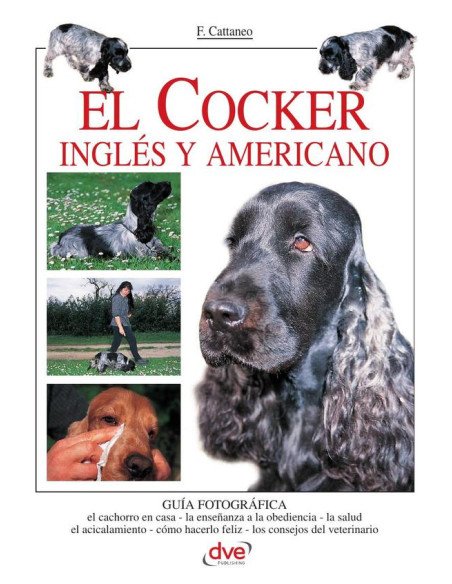 El cocker inglés y americano