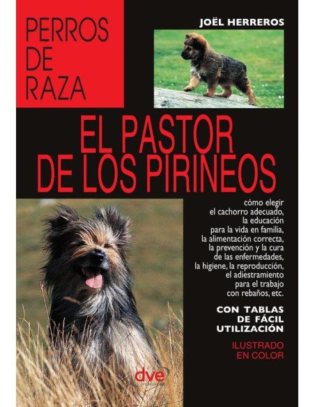 El pastor de los pirineos