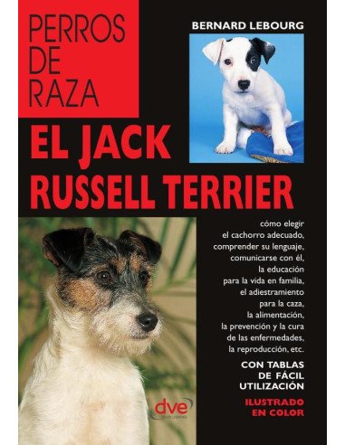 El jack russell terrier