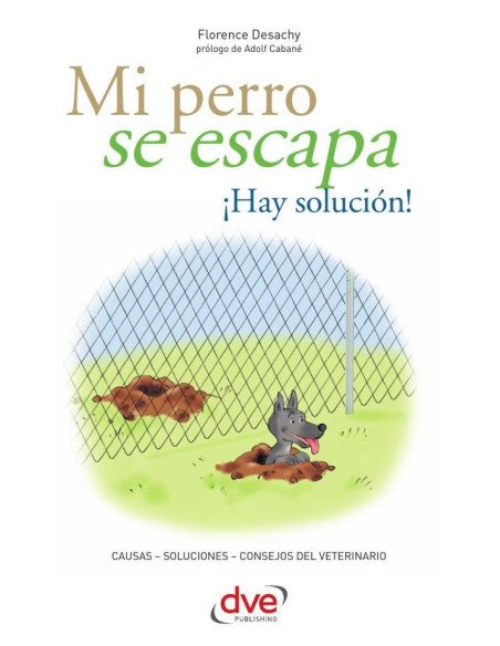 Mi perro se escapa ¡Hay solución!
