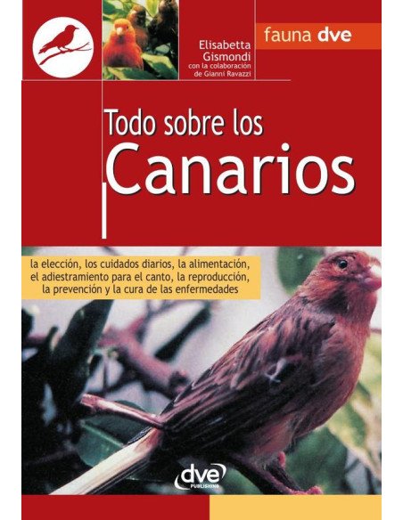 Todo sobre los canarios