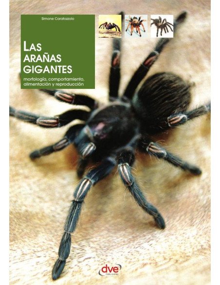 Las arañas gigantes