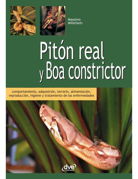 Pitón real y boa constrictor