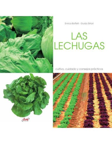 Las lechugas