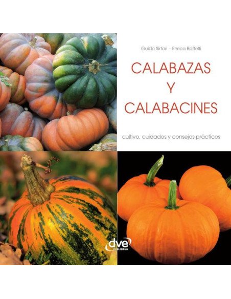 Calabazas y calabacines