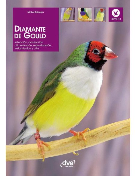 Diamante de gould