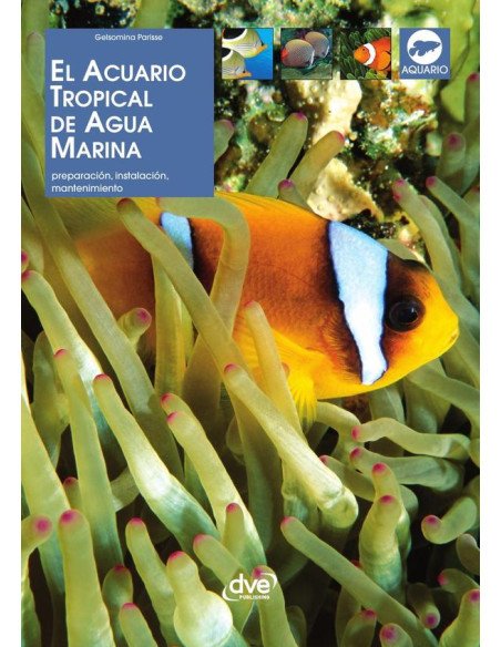 El acuario tropical de agua marina