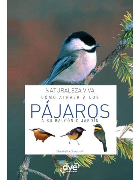 Cómo atraer a los pájaros a su balcón o jardín