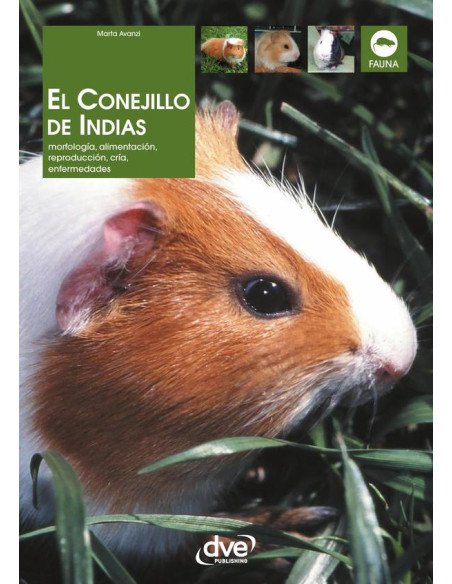 El conejillo de indias