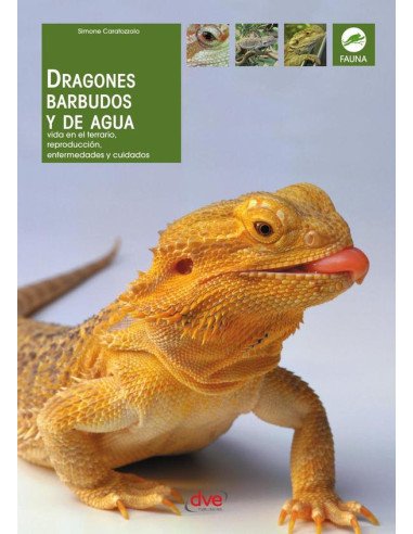 Dragones barbudos y de agua