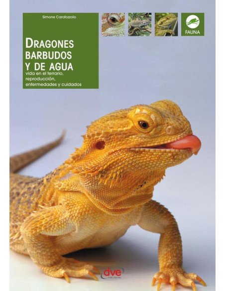 Dragones barbudos y de agua