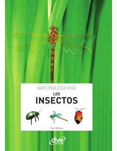 Los insectos