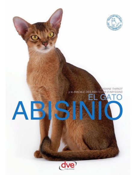 El gato abisinio