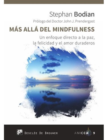Más allá del mindfulness. Un enfoque directo a la paz, la felicidad y el amor duraderos