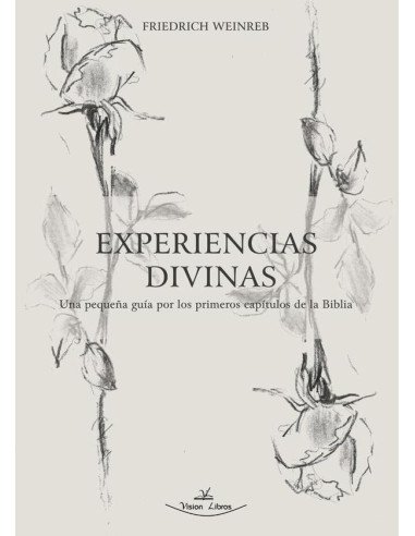 Experiencias divinas:Una pequeña guía por los primeros capítulos de la Biblia