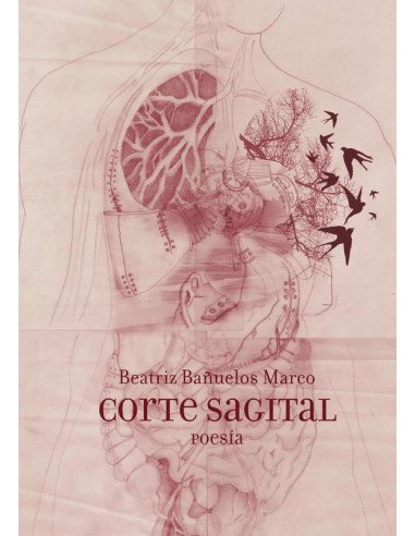 Corte Sagital